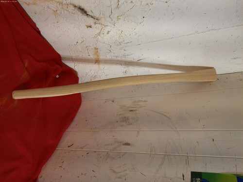 Hickory timber logging - hickory,