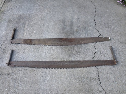 Antique man crosscut - antique,